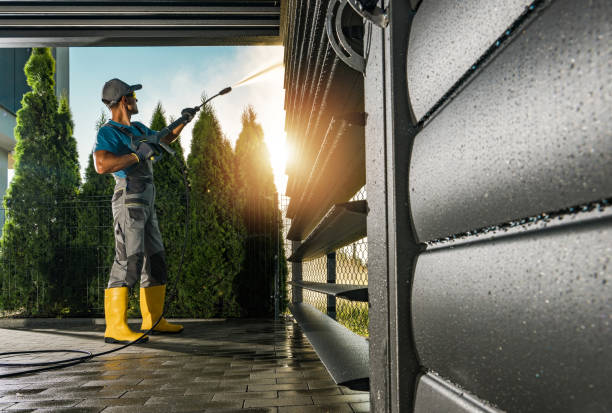 Best Affordable Pressure Washing  in Hidalgo, TX